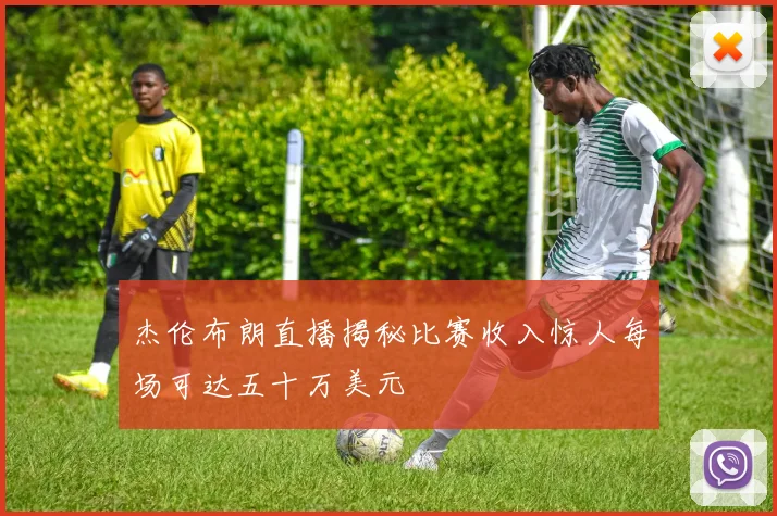 杰伦布朗直播揭秘比赛收入惊人每场可达五十万美元