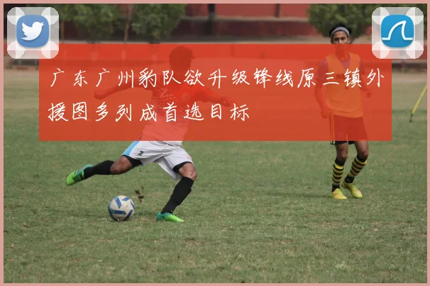广东广州豹队欲升级锋线原三镇外援图多列成首选目标